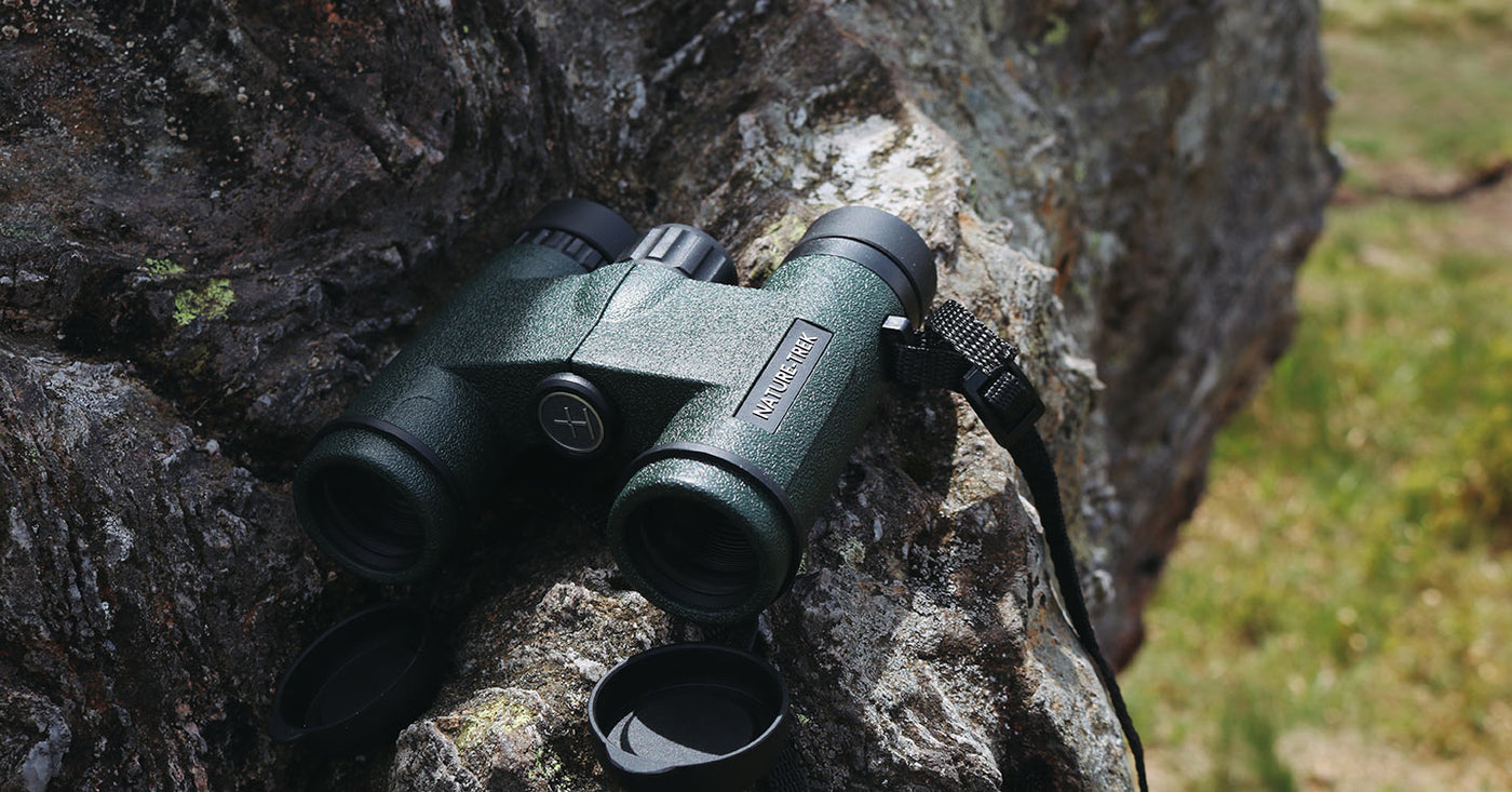 Pair of Hawke Nature-Trek compact binoculars on log