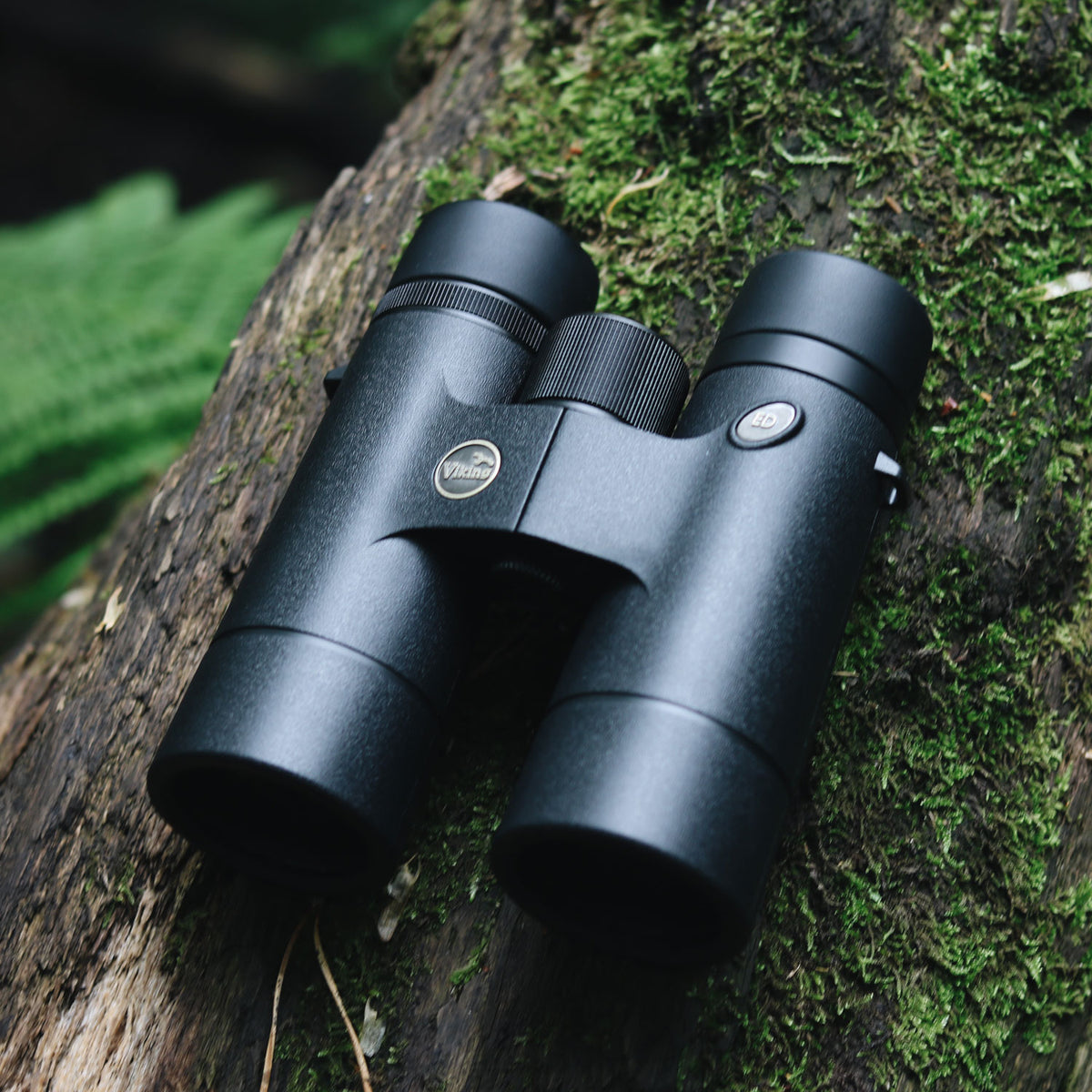 Viking Osprey ED 8x42 Binoculars Binoculars Viking