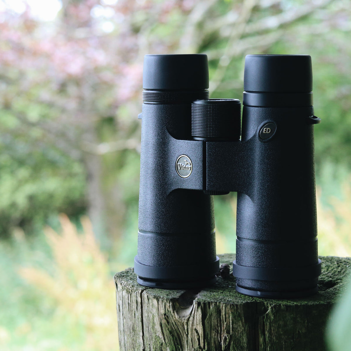 Viking Osprey ED 8x42 Binoculars Binoculars Viking