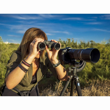 Olympus 8 x 40 S Binoculars Binoculars Olympus