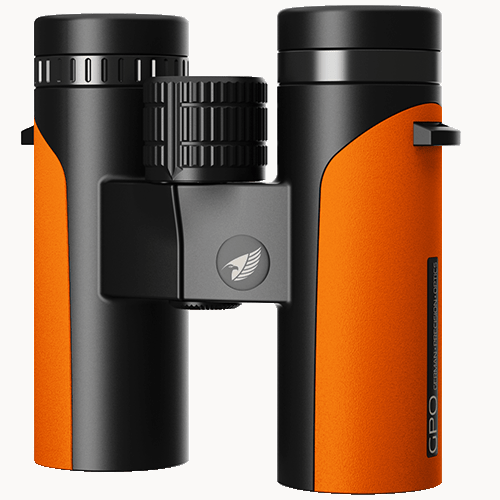 GPO Passion ED 8x32 Binoculars in Orange Binoculars GPO