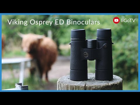 Viking Osprey ED 8x42 Binoculars Binoculars Viking