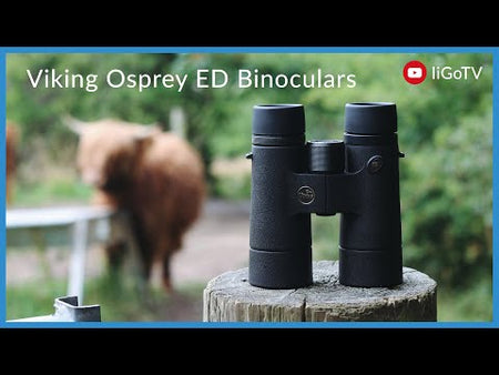 Viking Osprey ED 8x42 Binoculars Binoculars Viking