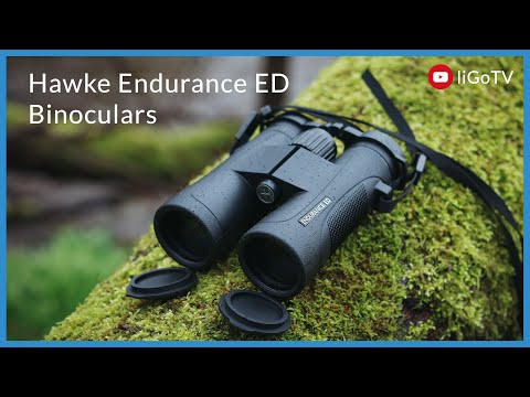 Hawke Endurance ED 8x42 Binoculars - Black Binoculars Hawke