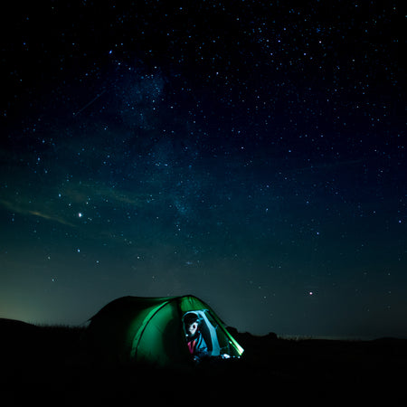 Vango Scafell 300 Plus 3-Person Trekking Tent Tents Vango