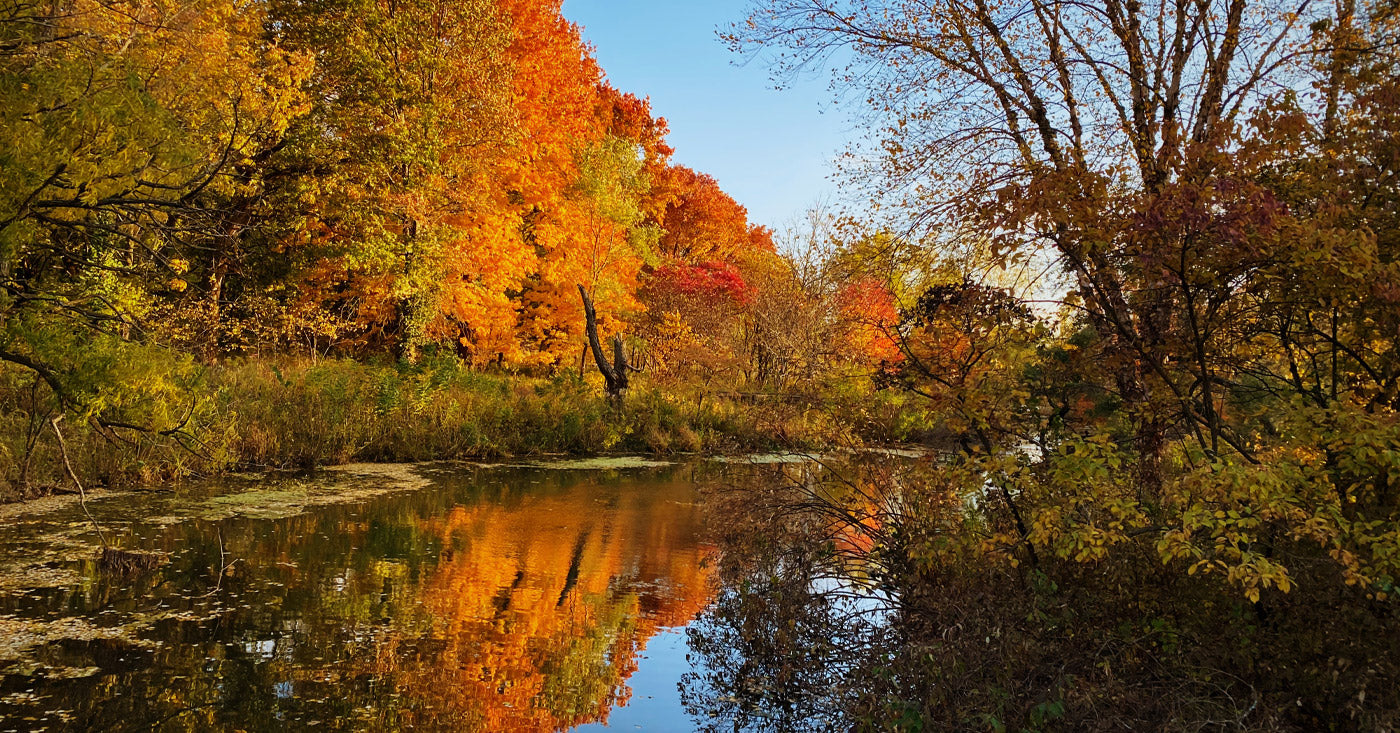 Autumn Camping in Scotland: A Complete Guide