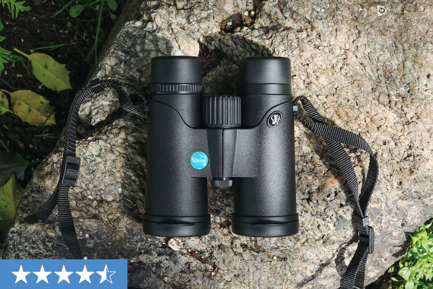 Viking Badger 8x42 Binoculars Review