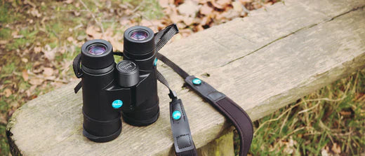 The Best Binoculars of 2025: Tested