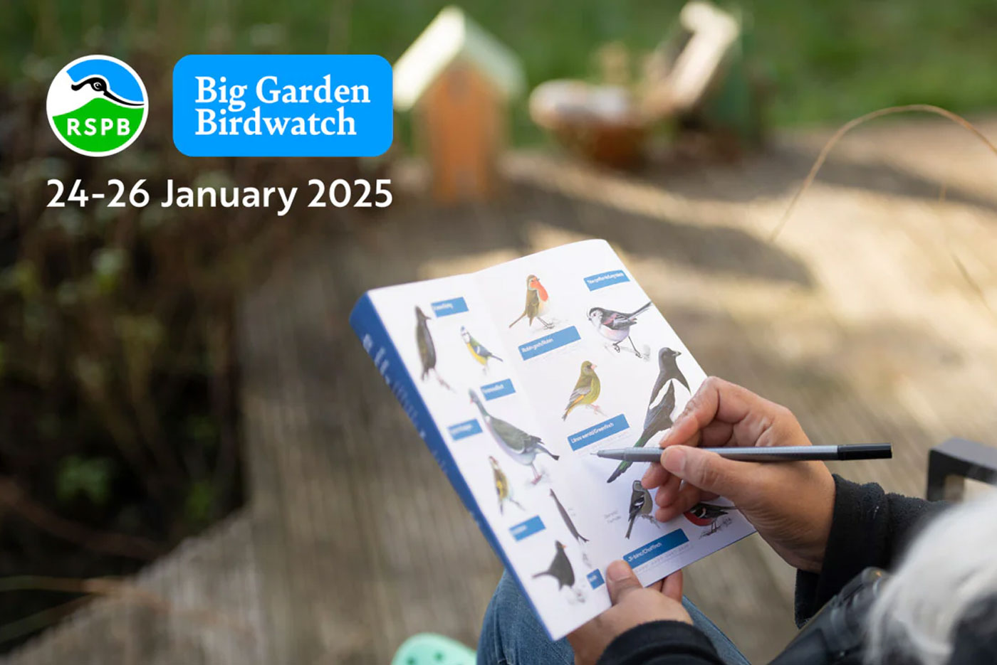 The RSPB Big Garden Birdwatch 2025: Everything You Need to Know
