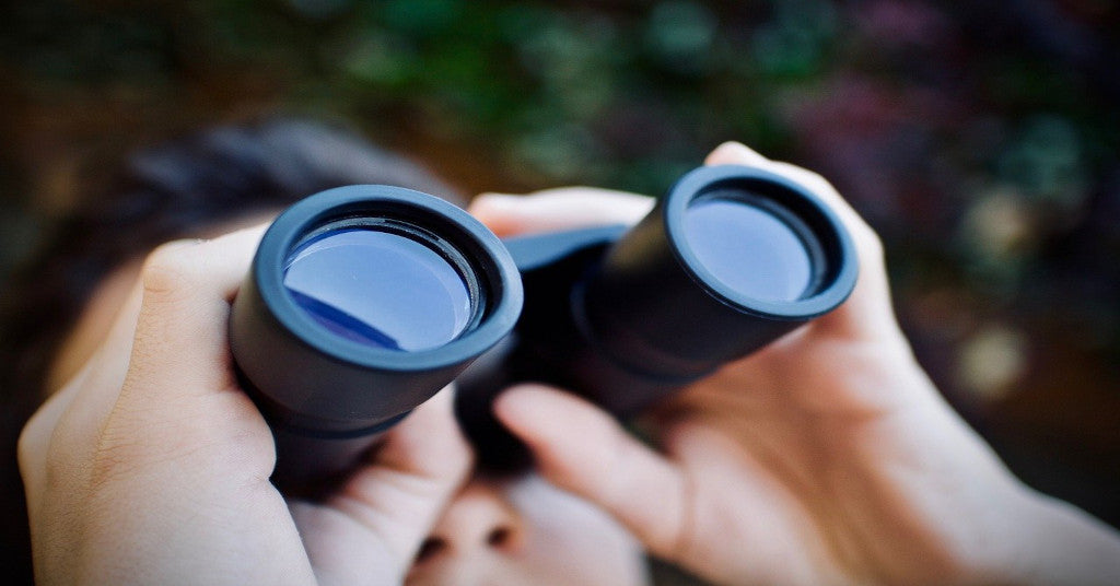 Binoculars vs Monoculars: Which Is Best?