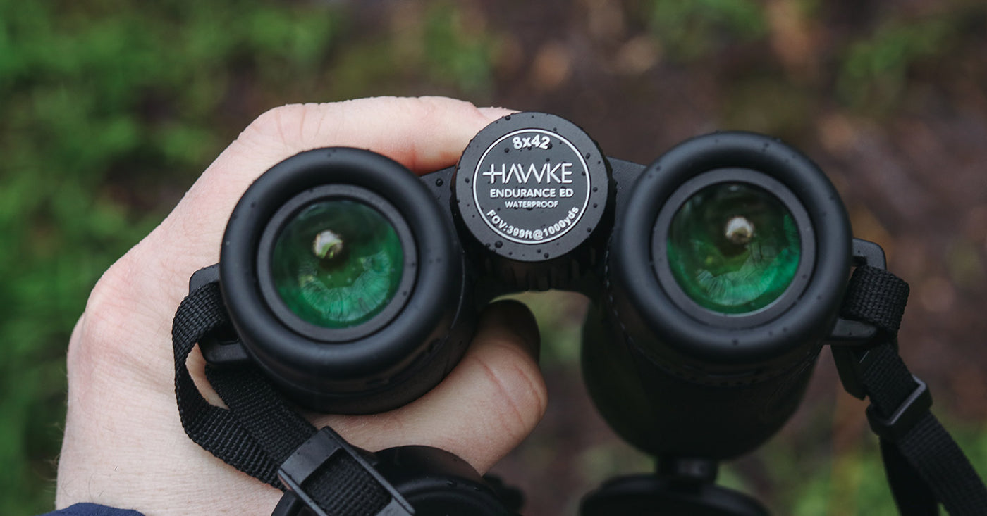 How to Properly Focus Binoculars