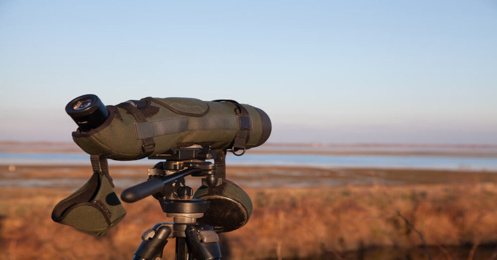 Spotting Scopes For Birdwatching: A Beginner's Guide