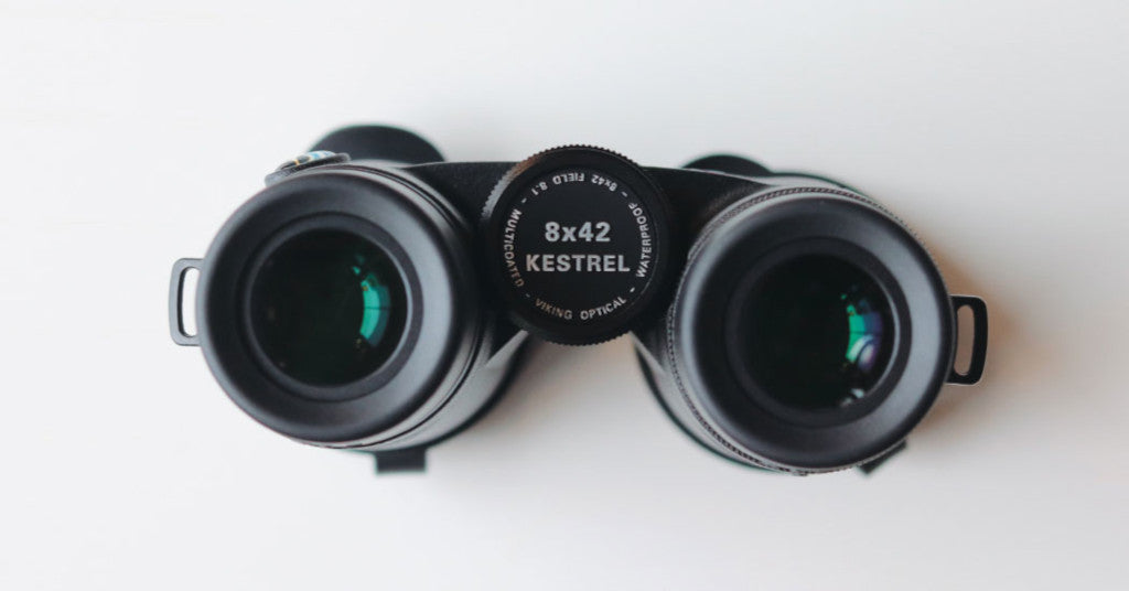 Top 3 Best ED Binoculars For Birdwatching