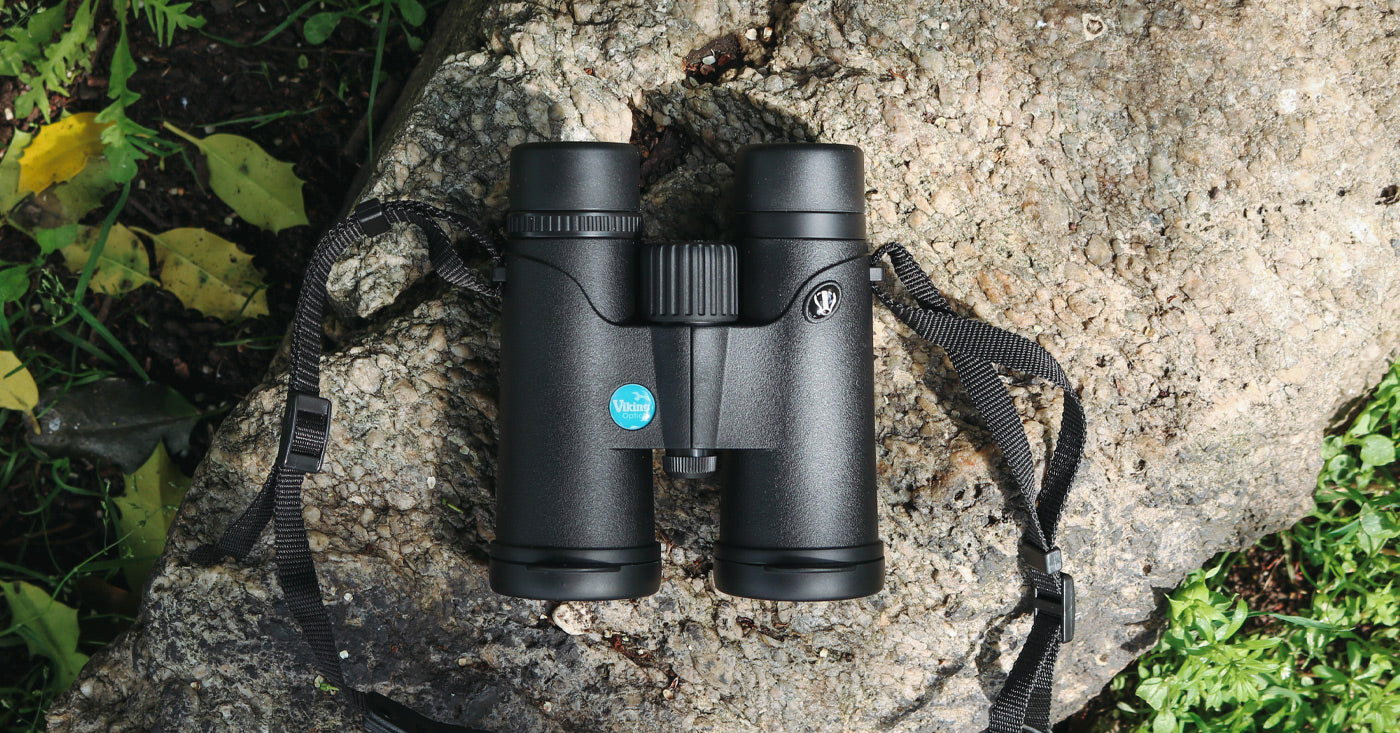 Viking Badger 8x42 Binoculars Review