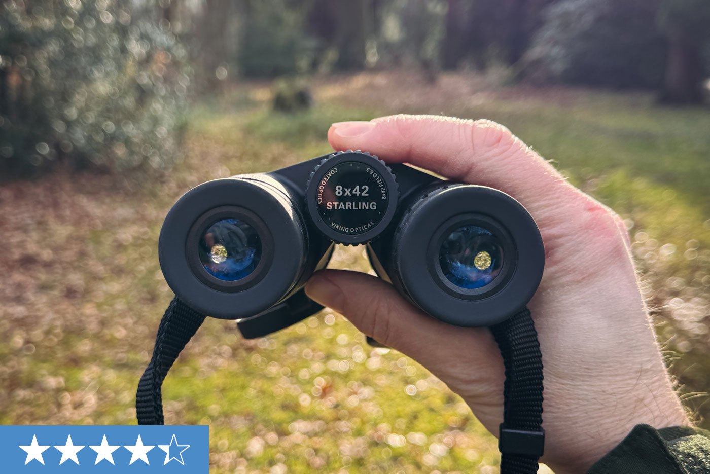 Viking Starling 8x42 Binoculars Review