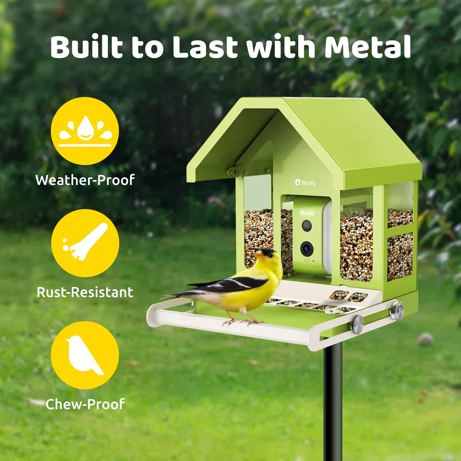 Birdfy Smart Metal Bird Feeder with Camera Bird Feeders Birdfy