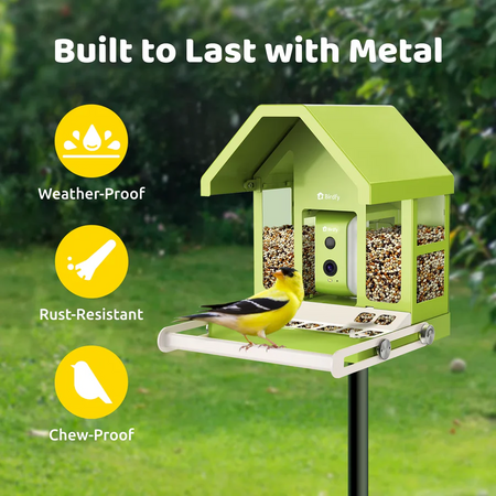 Birdfy Smart Metal Bird Feeder with Camera Bird Feeders Birdfy