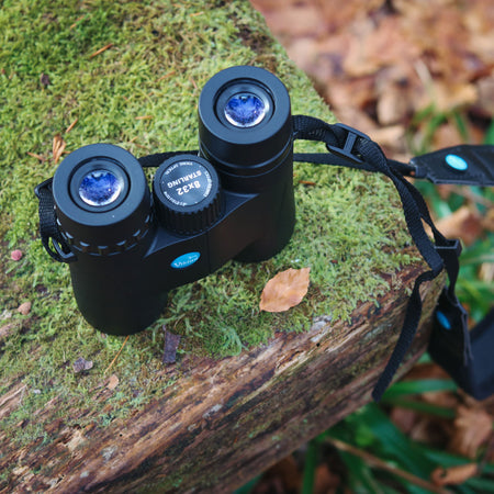 Viking Starling 8x32 Binoculars Binoculars Viking