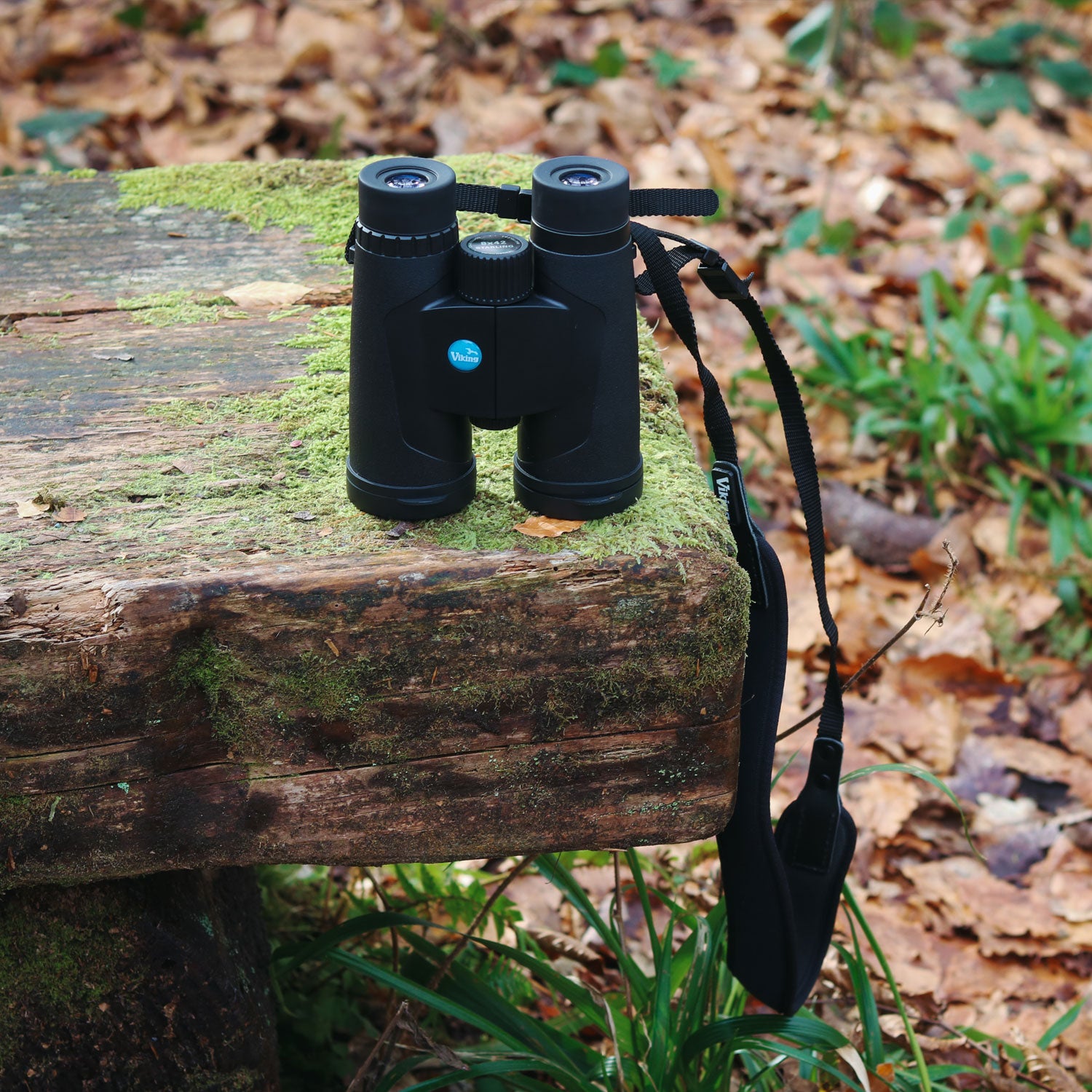 Viking Starling 10x42 Binoculars Binoculars Viking