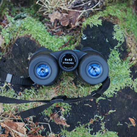 Viking Starling 8x42 Binoculars Binoculars Viking