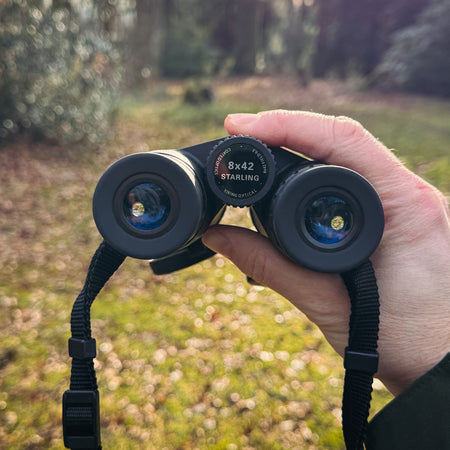 Viking Starling 8x42 Binoculars Binoculars Viking