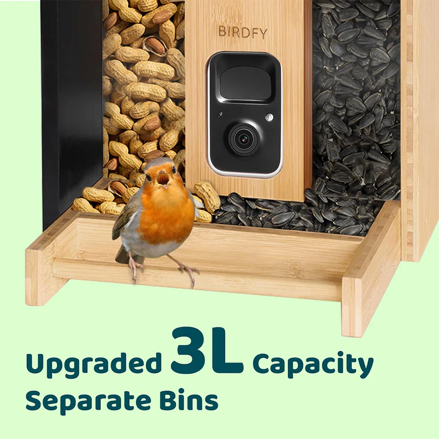 Birdfy Feeder Bamboo Mini Bird Feeder With Camera Bird Feeders Birdfy