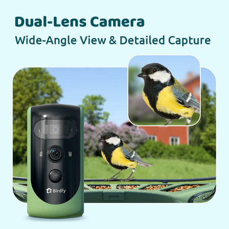 Birdfy Feeder 2 Pro Smart Bird Feeder Bird Feeders Birdfy