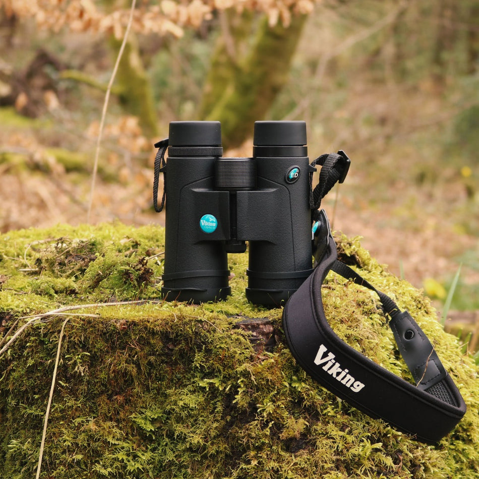Viking Kestrel ED 8x42 Binoculars Binoculars Viking   
