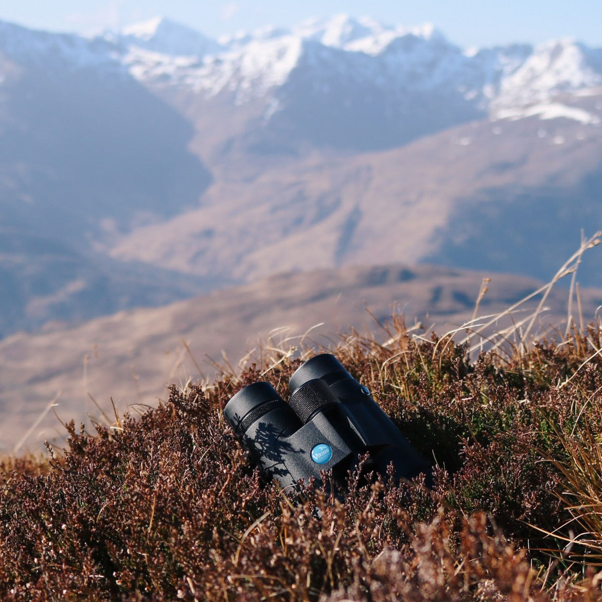 Binoculars in grass with mountains in background