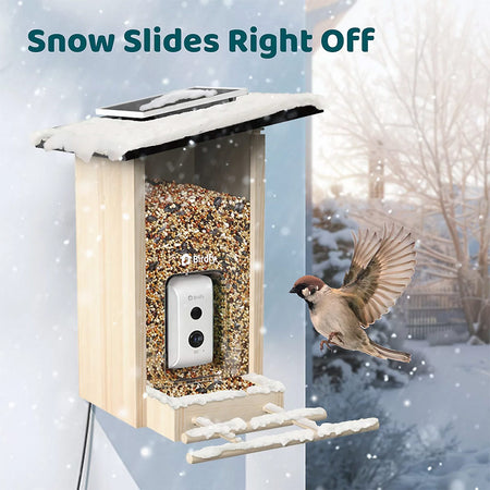 Birdfy Ebony Lite Smart Bird Feeder Bird Feeders Birdfy