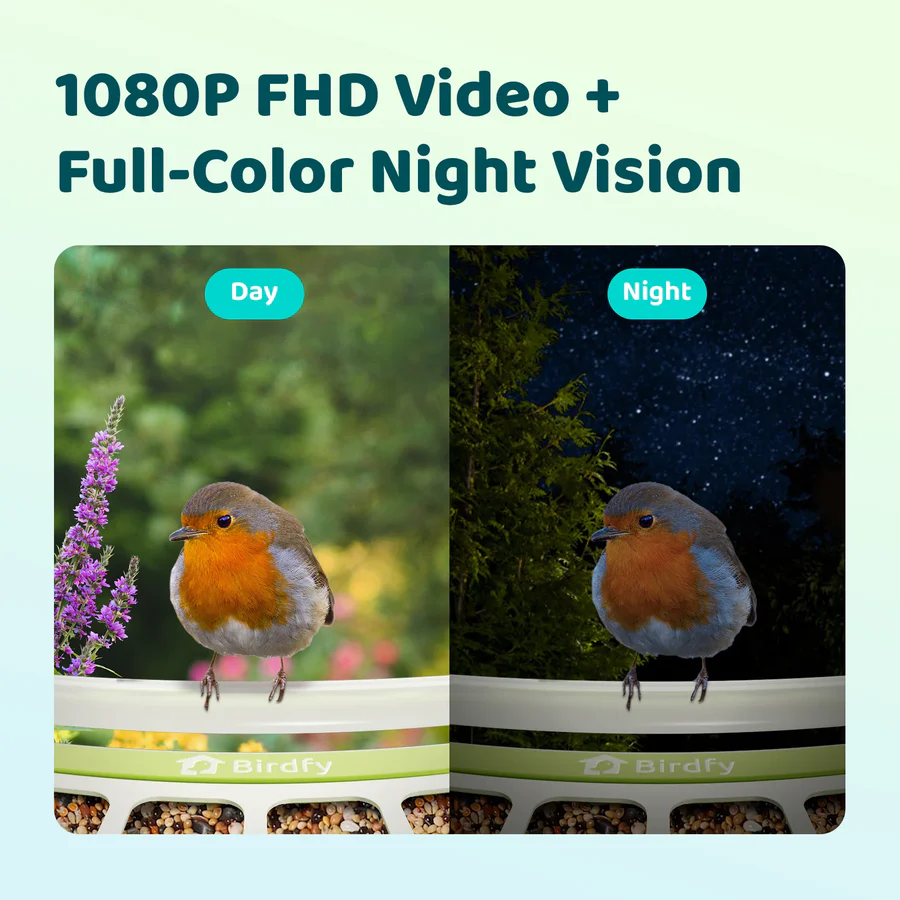 Birdfy Smart Metal Bird Feeder with Camera Bird Feeders Birdfy