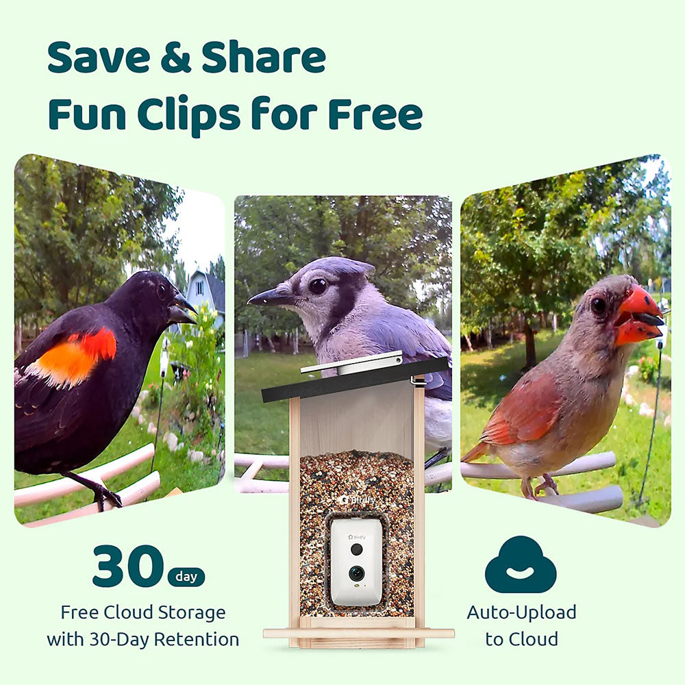Birdfy Ebony Lite Smart Bird Feeder Bird Feeders Birdfy
