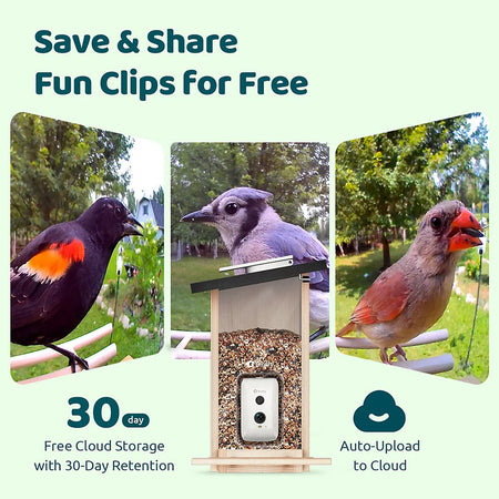 Birdfy Ebony Lite Smart Bird Feeder Bird Feeders Birdfy