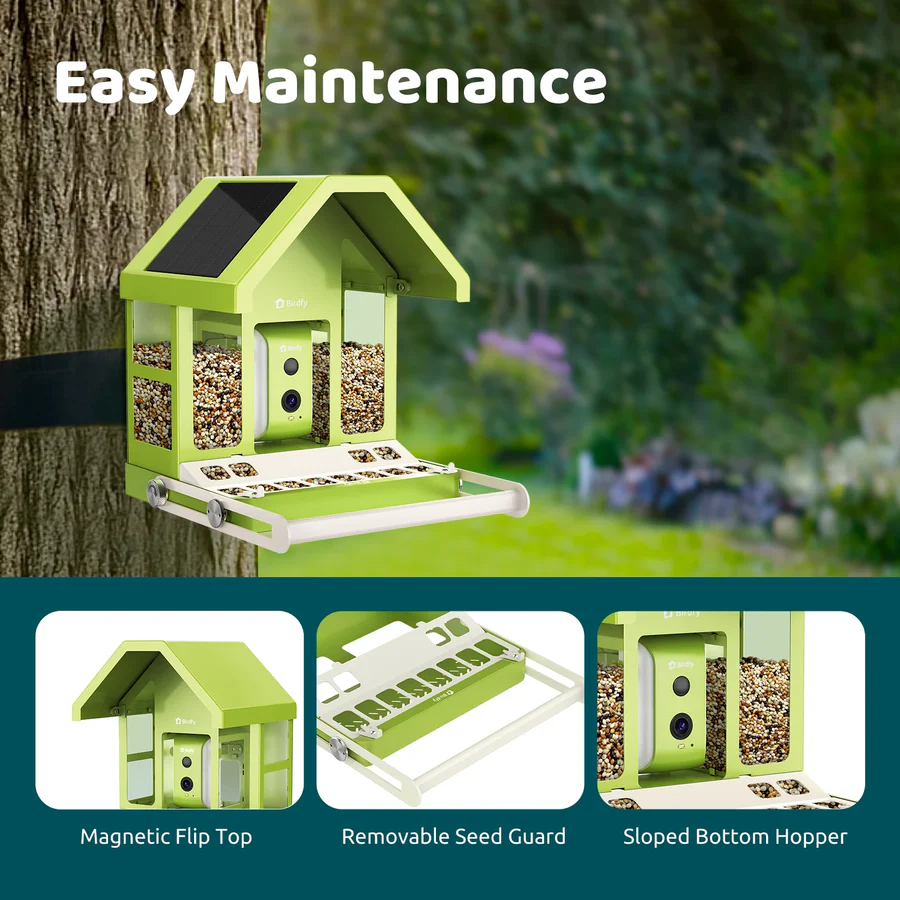 Birdfy Smart Metal Bird Feeder with Camera Bird Feeders Birdfy