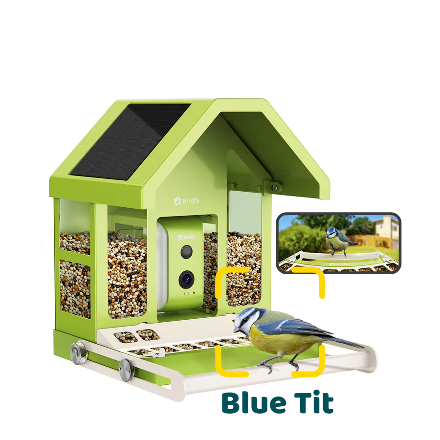 Birdfy Smart Metal Bird Feeder with Camera Bird Feeders Birdfy