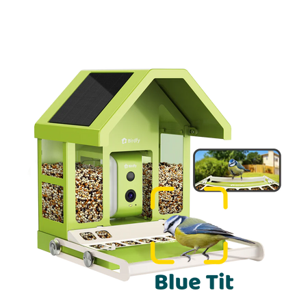 Birdfy Smart Metal Bird Feeder with Camera Bird Feeders Birdfy