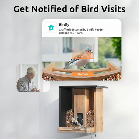 Birdfy Feeder Bamboo Mini Bird Feeder With Camera Bird Feeders Birdfy