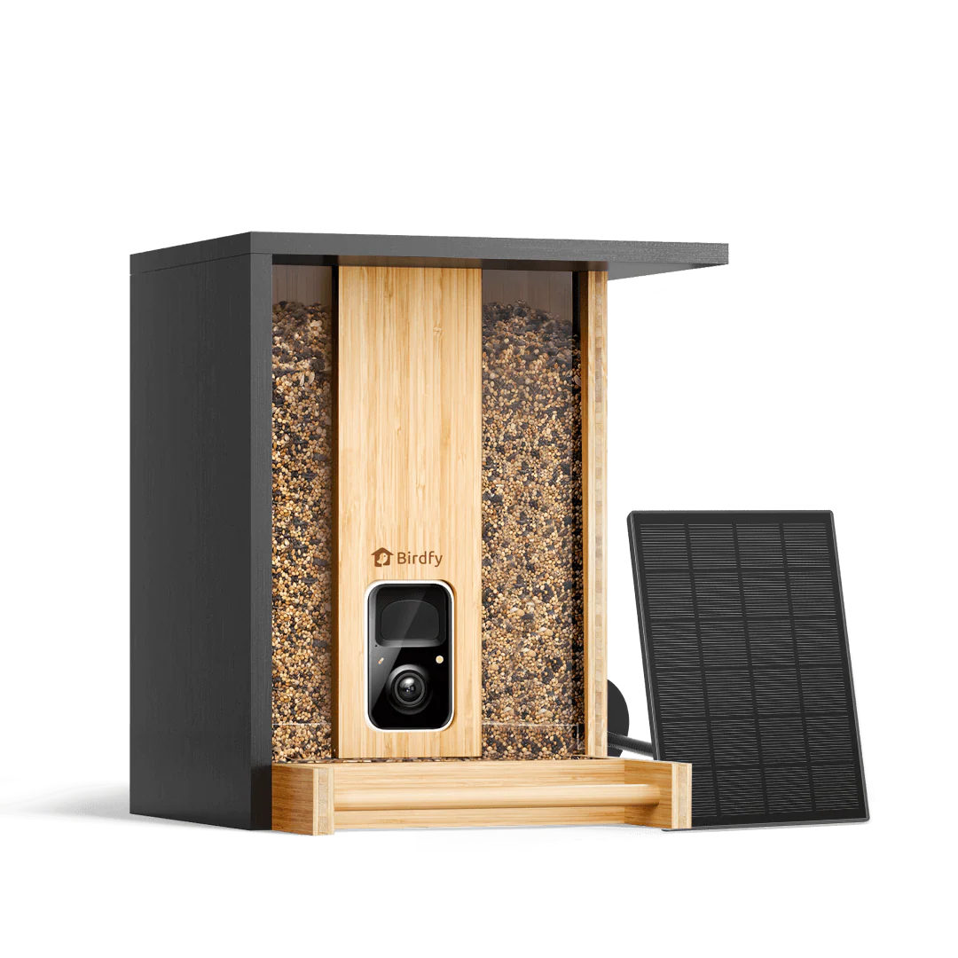 Birdfy Feeder Bamboo Mini Bird Feeder With Camera Bird Feeders Birdfy