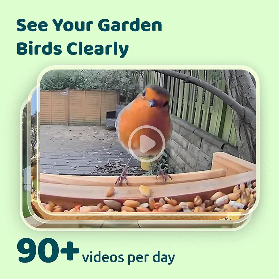 Birdfy Feeder Bamboo Mini Bird Feeder With Camera Bird Feeders Birdfy