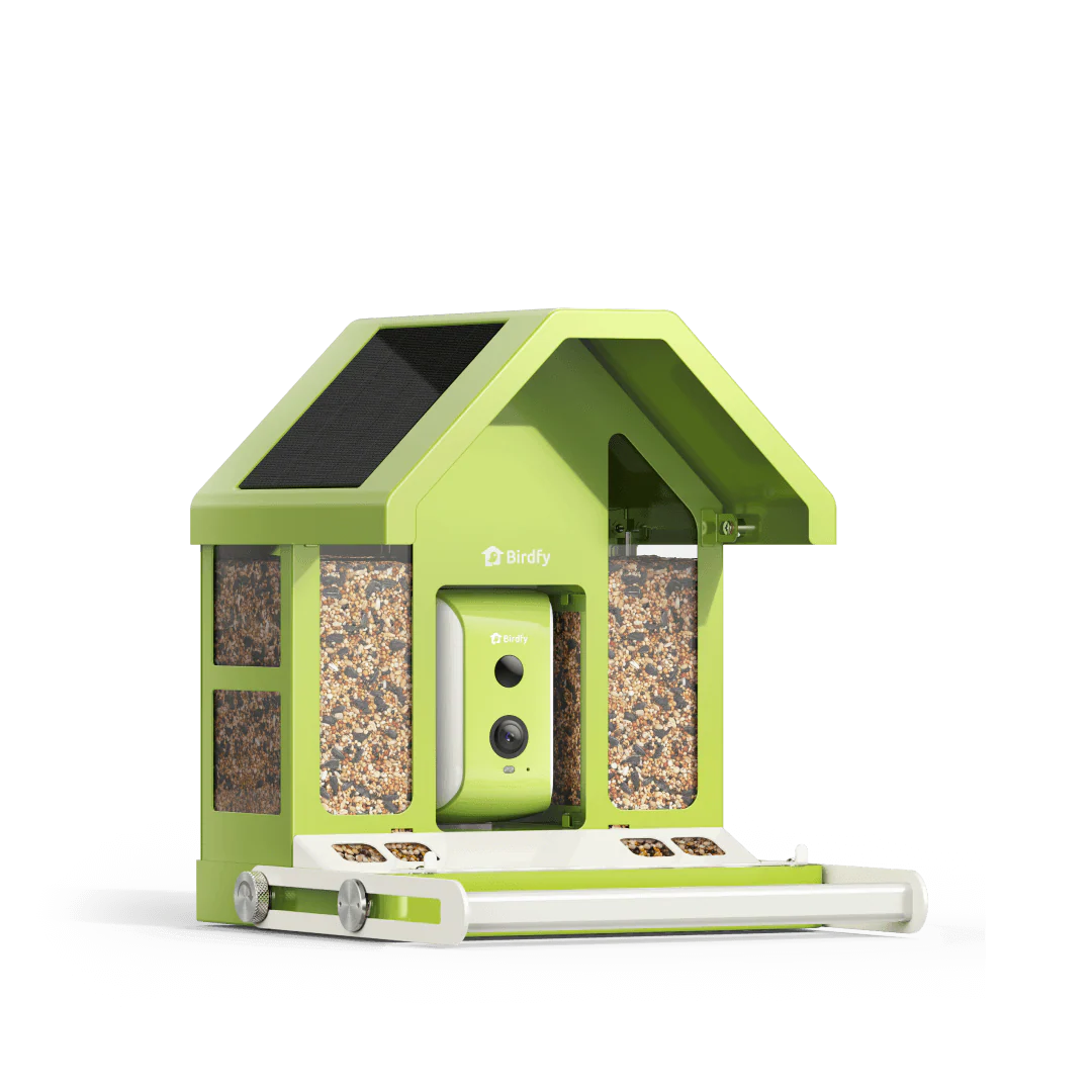 Birdfy Smart Metal Bird Feeder with Camera Bird Feeders Birdfy