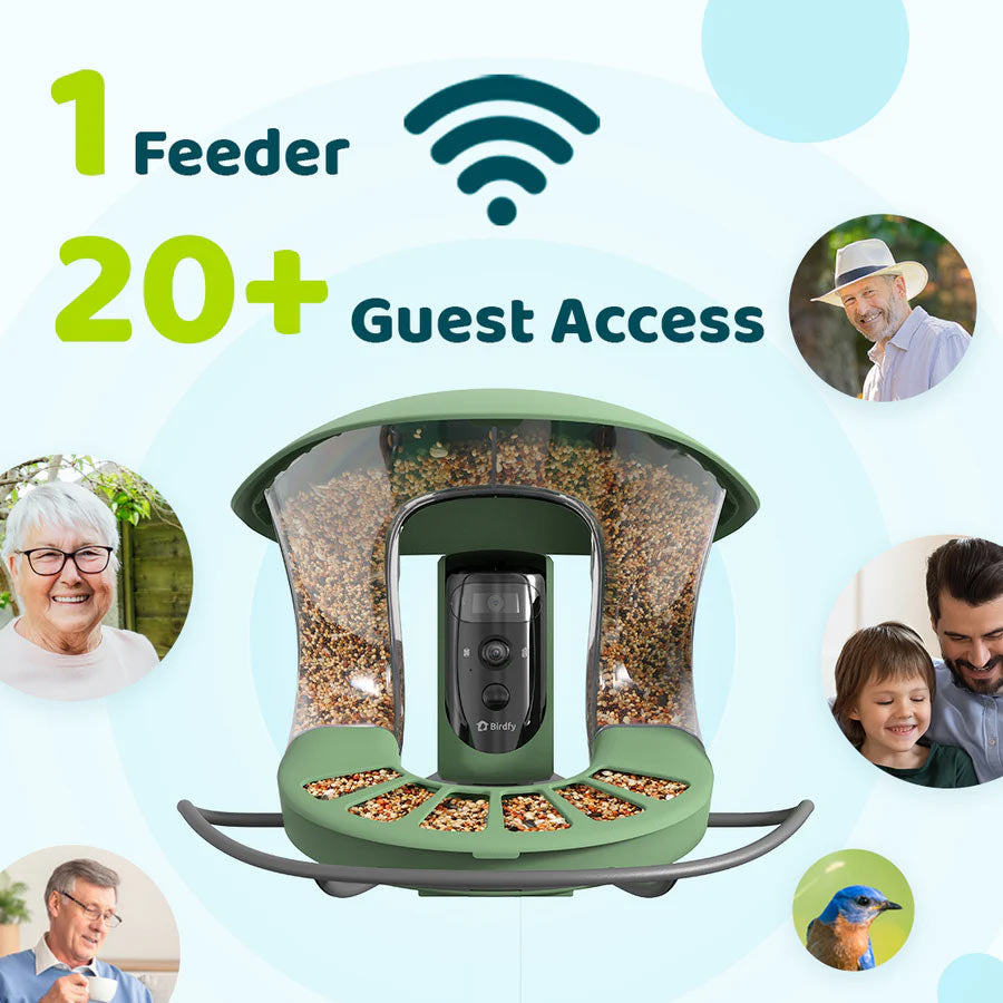 Birdfy Feeder 2 Pro Smart Bird Feeder Bird Feeders Birdfy