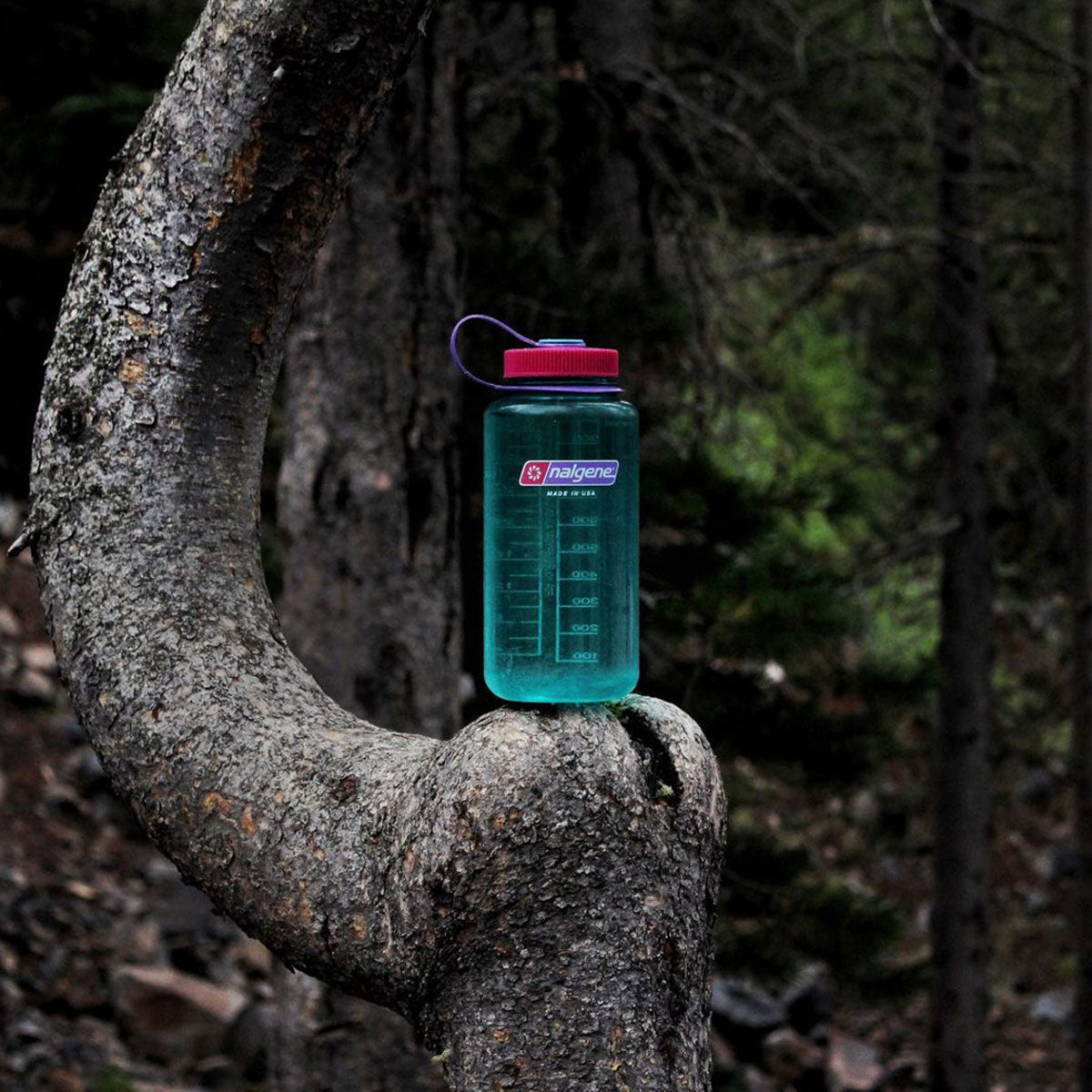 Nalgene Wide Mouth 1L Tritan Sustain Water Bottle - Surfer Water Bottle Nalgene