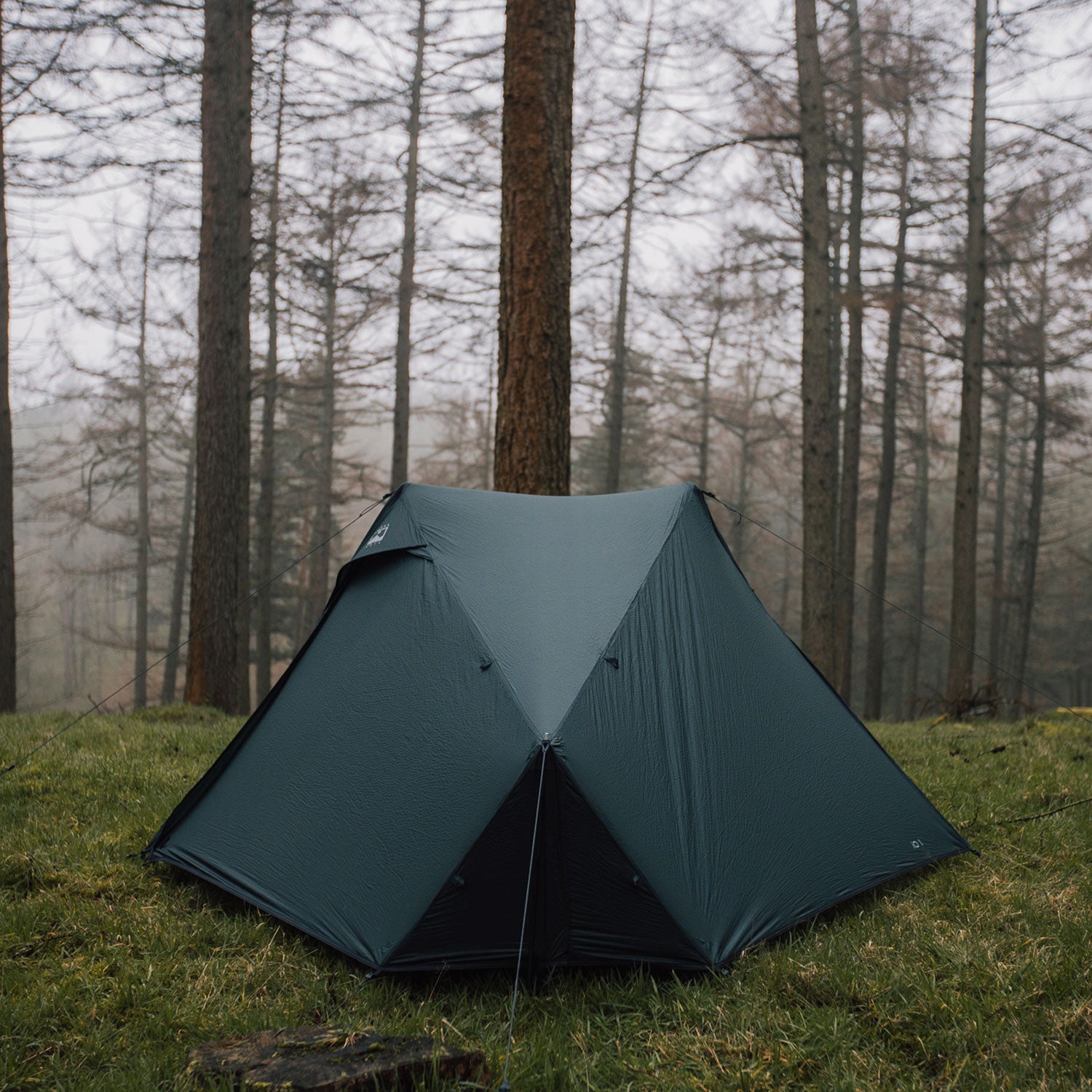 Terra Nova iO 1 Trekking Pole Tent, 1-Person Tents Terra Nova