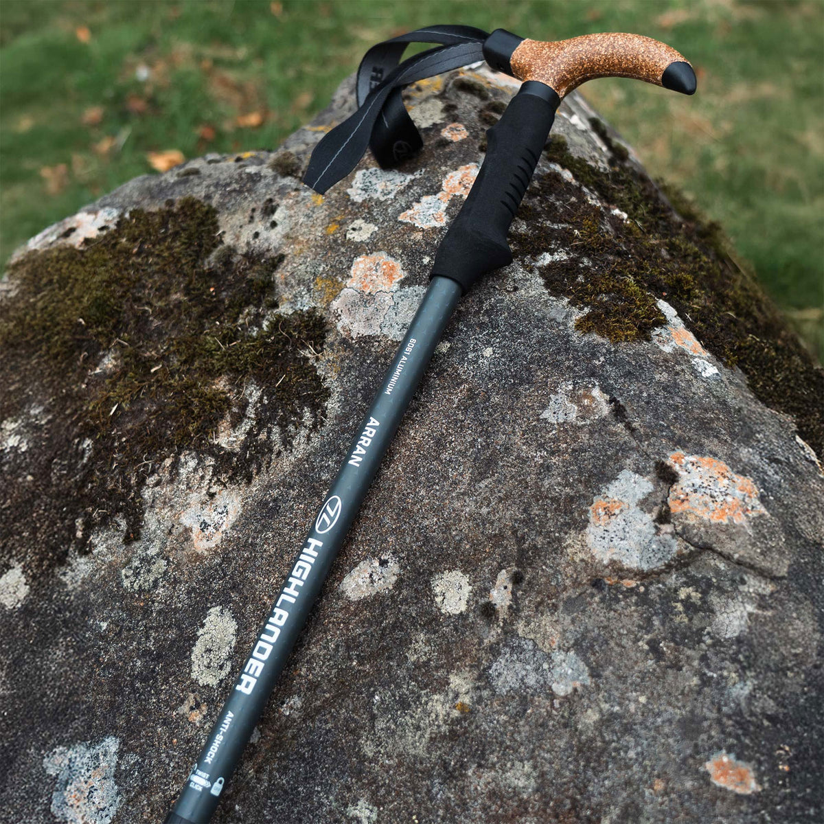 Highlander Arran Walking Pole (Single) Camping Accessories Highlander