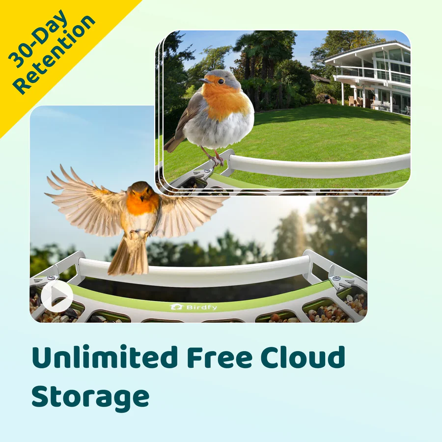 Birdfy Smart Metal Bird Feeder with Camera Bird Feeders Birdfy