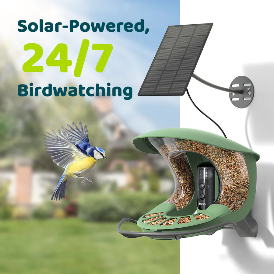 Birdfy Feeder 2 Pro Smart Bird Feeder Bird Feeders Birdfy