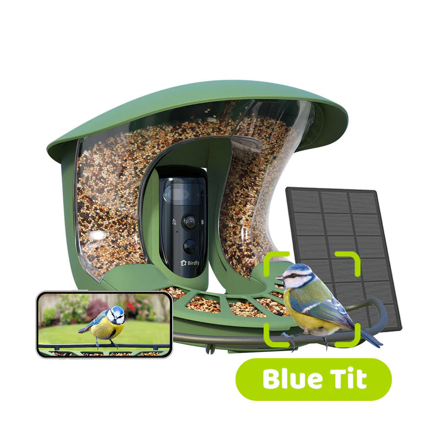 Birdfy Feeder 2 Pro Smart Bird Feeder Bird Feeders Birdfy