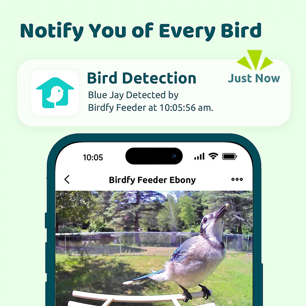 Birdfy Ebony Lite Smart Bird Feeder Bird Feeders Birdfy