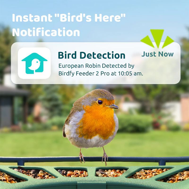 Birdfy Feeder 2 Pro Smart Bird Feeder Bird Feeders Birdfy
