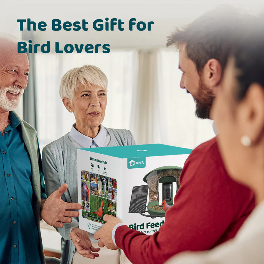 Birdfy Feeder 2 Pro Smart Bird Feeder Bird Feeders Birdfy